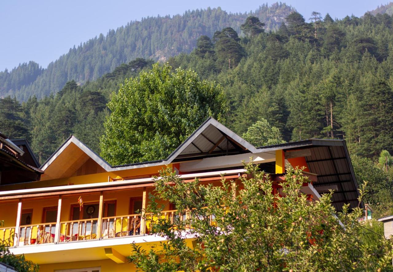 The Homstel Manali Hostel Ngoại thất bức ảnh